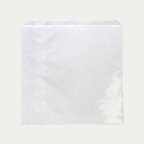 2SQW white square snack bag